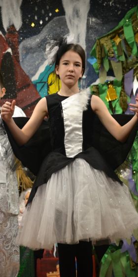 photo 37