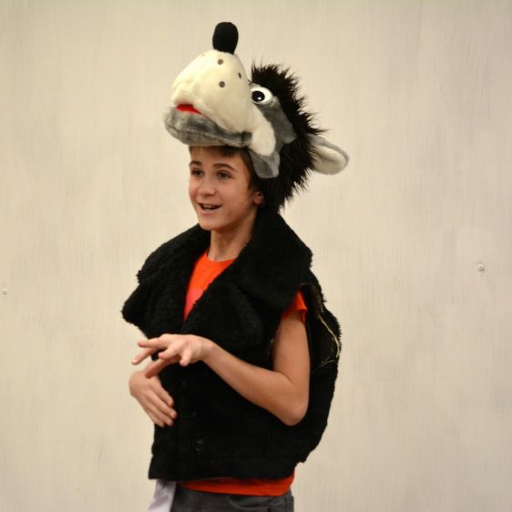 photo 23